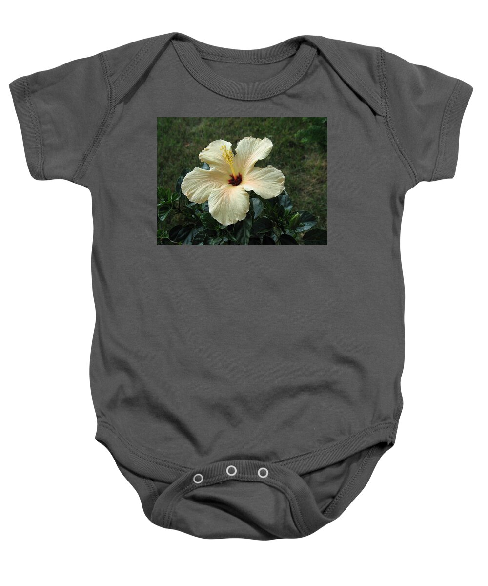 Flowers Baby Onesie featuring the photograph In Bloom by Ed Smith