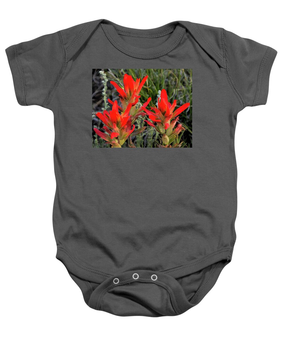 Colorado Baby Onesie featuring the photograph Indian Paintbrush by David Thompsen