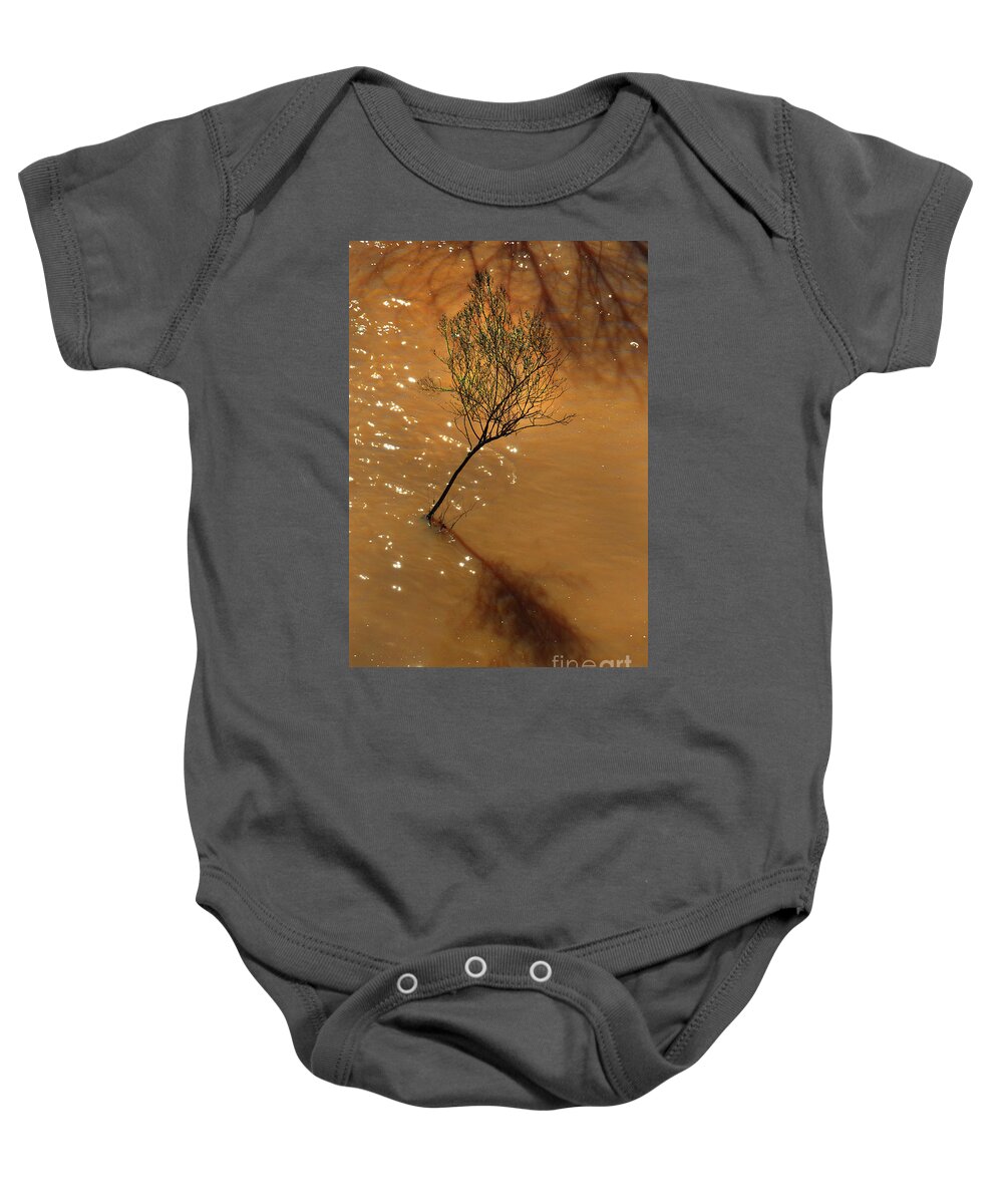 Scenic Tours Baby Onesie featuring the photograph Inspiration Under Duress by Skip Willits