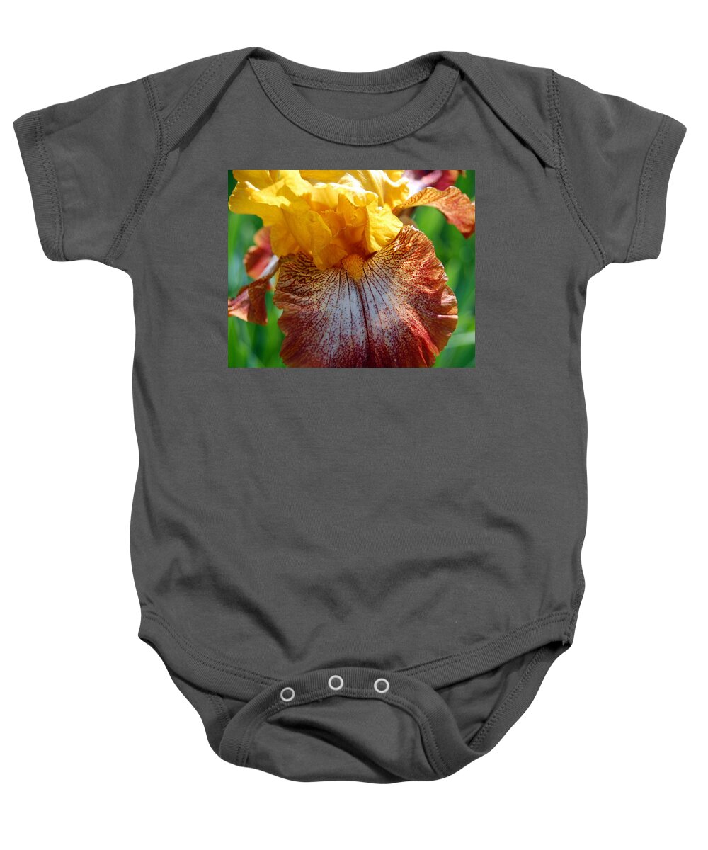 Iris Baby Onesie featuring the photograph Iris 2 by Amy Fose