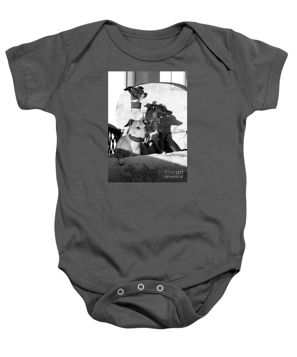 Editorial Baby Onesie featuring the photograph Italian Greyhounds in Black and White by Angela Rath