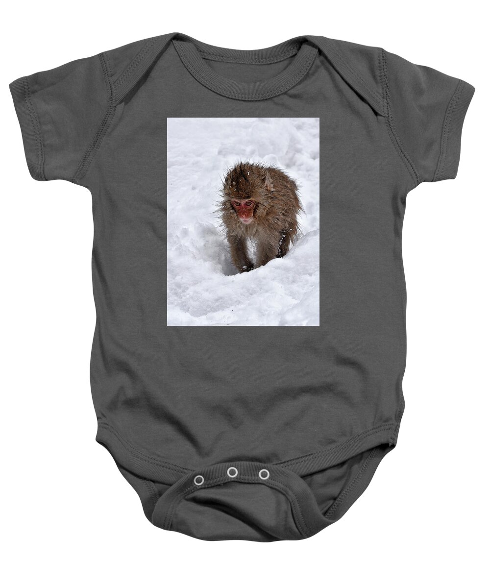 Jigokudani Baby Onesie featuring the photograph Its here somewhere by Kuni Photography