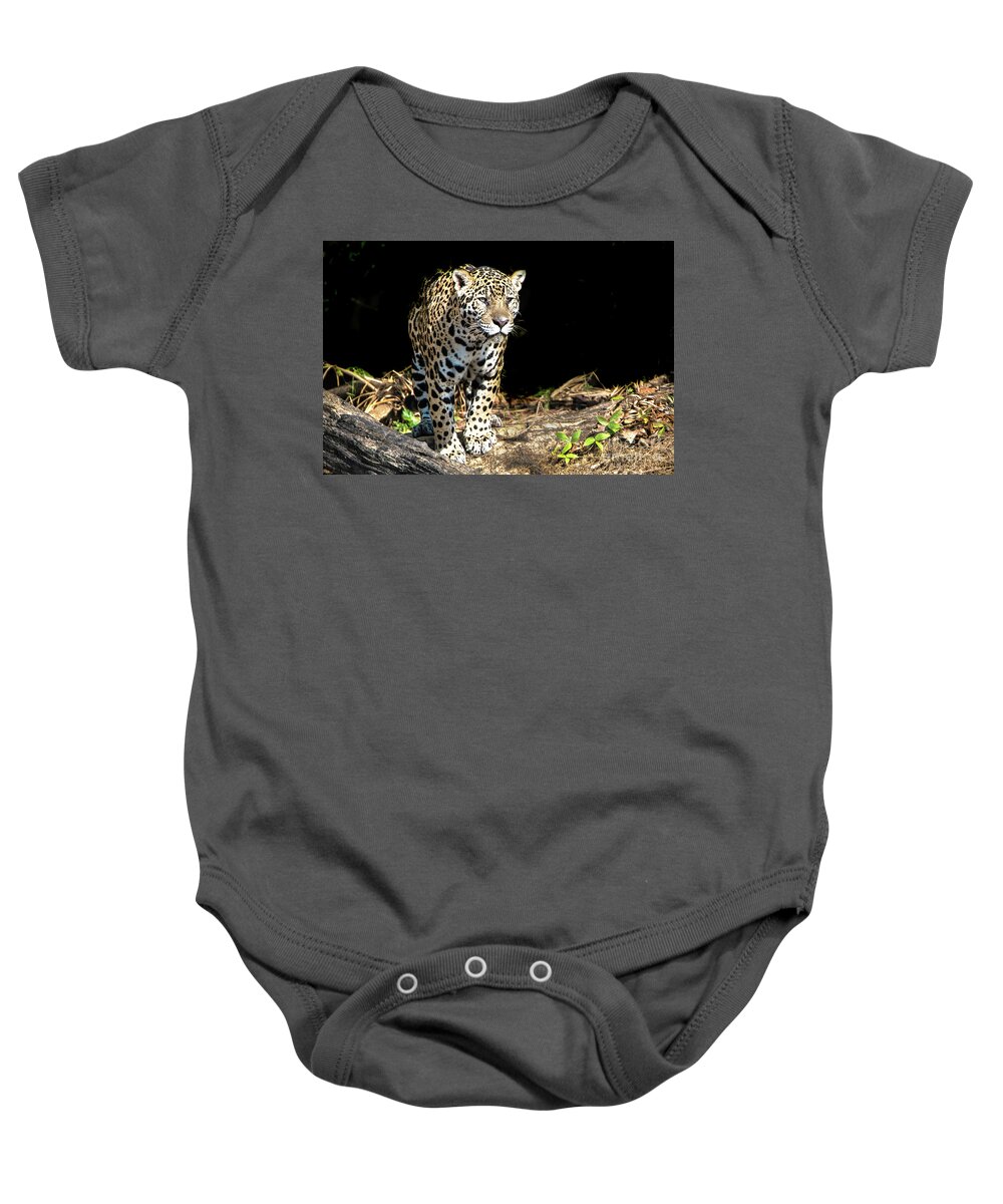 Jaguar Baby Onesie featuring the photograph Jaguar Stare by Pravine Chester