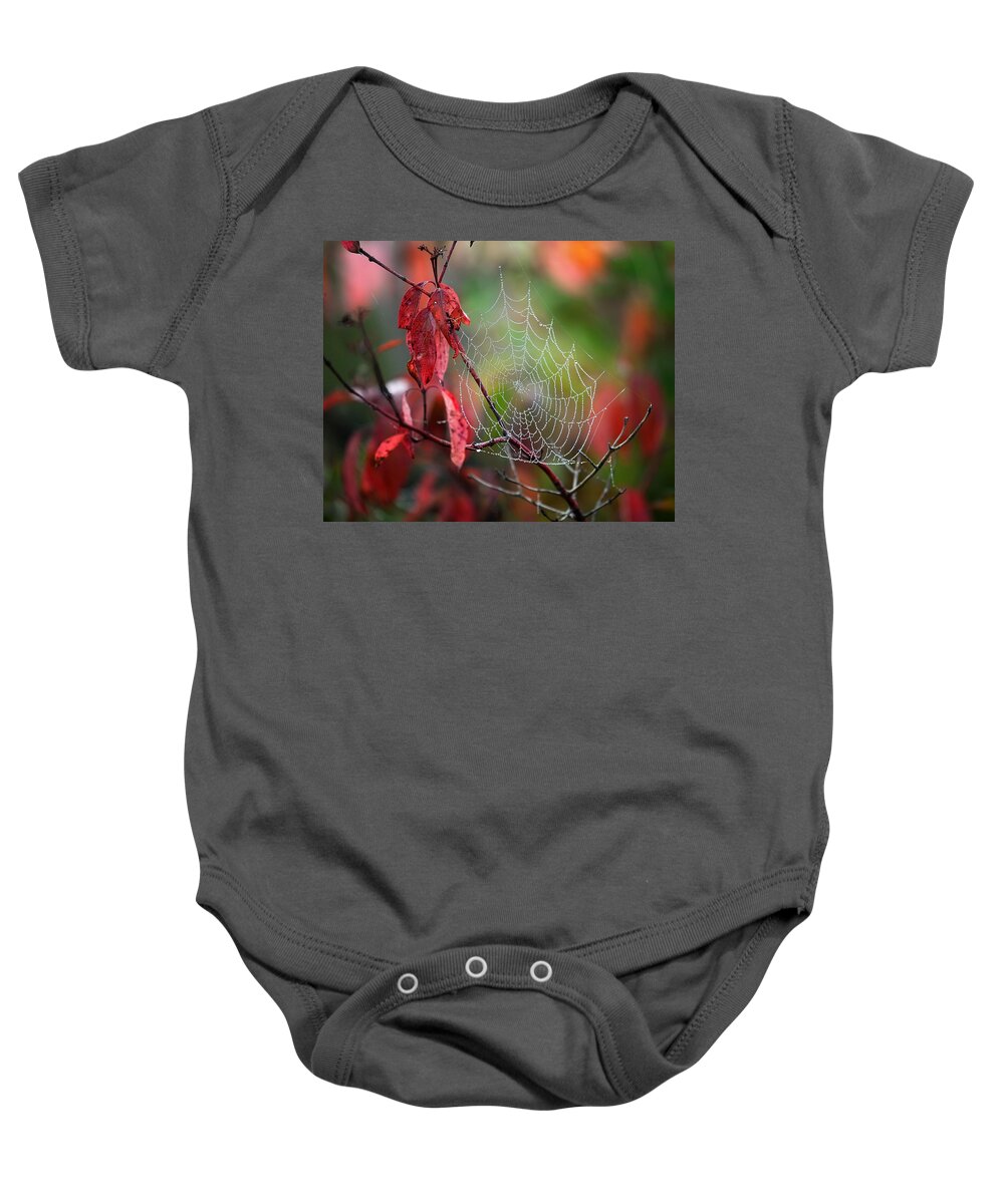 Spider Web Baby Onesie featuring the photograph Jewelled Spider Web by Al Mueller