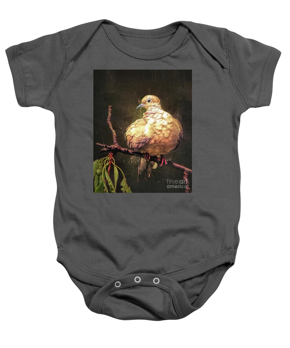 Mourning Dove Baby Onesie featuring the photograph Just A Little Plump by Tina LeCour