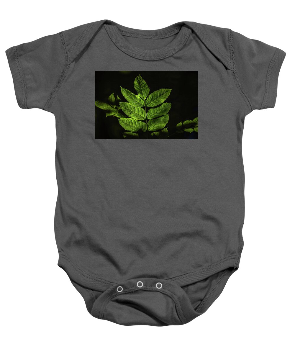 Just Leaves Baby Onesie featuring the photograph Just Leaves #h7 by Leif Sohlman