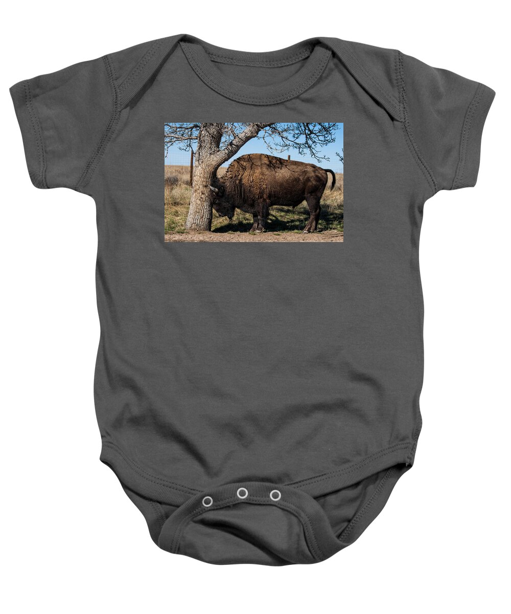 Buffalo Baby Onesie featuring the photograph Just One Of Those Days by Mindy Musick King