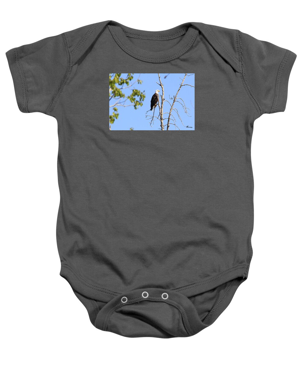 Art Baby Onesie featuring the photograph Just Resting. by Andrea Lawrence