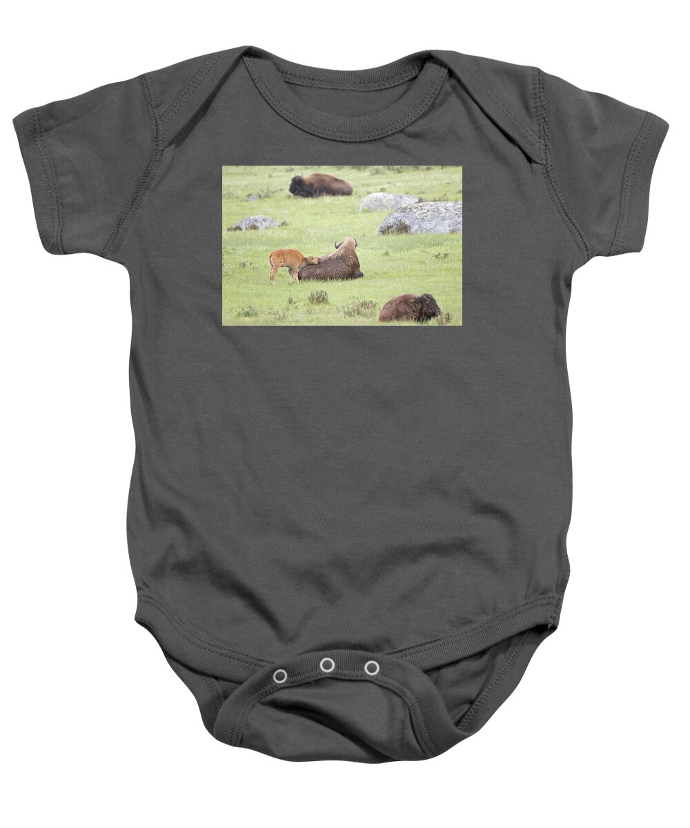 Bison Baby Onesie featuring the photograph Just Resting My Eyes by Eilish Palmer