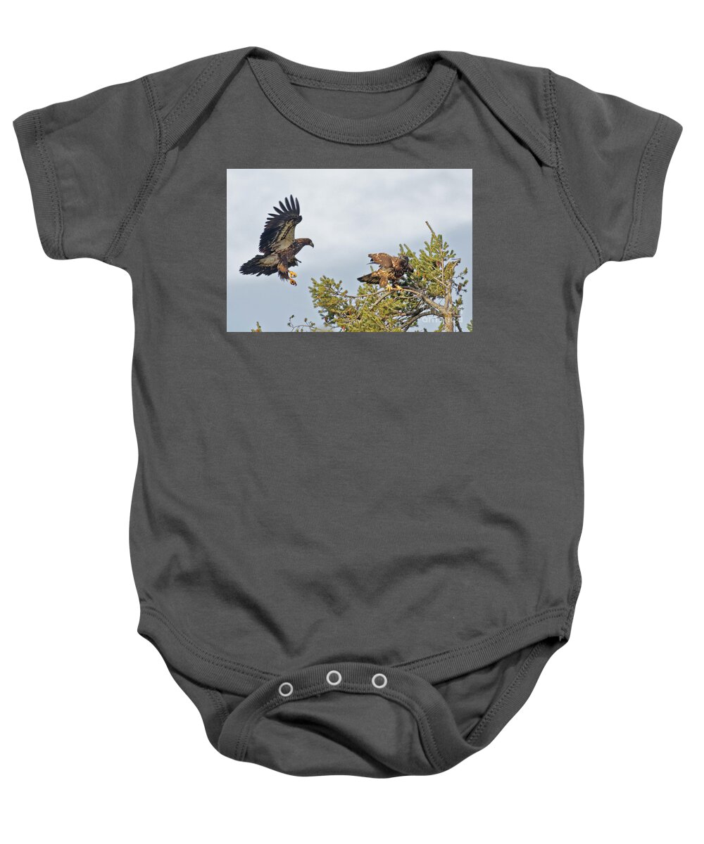 American Bald Eagle Baby Onesie featuring the photograph Juvenile Bald Eagles High in the Pines by Natural Focal Point Photography