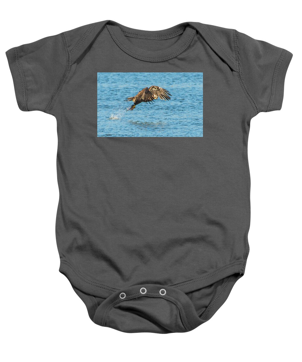 20171124 Baby Onesie featuring the photograph Juvenile North American Bald Eagle Fishing Success by Jeff at JSJ Photography