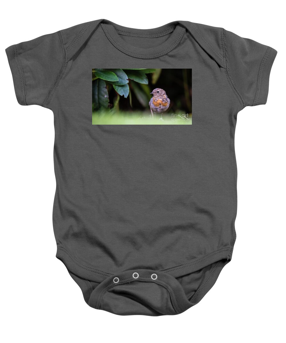 Robin Baby Onesie featuring the photograph Juvenile Robin by Torbjorn Swenelius