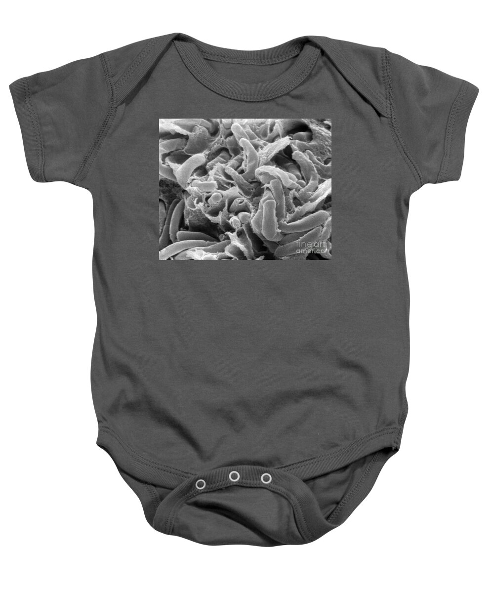 Science Baby Onesie featuring the photograph Kefir Bacteria by Scimat