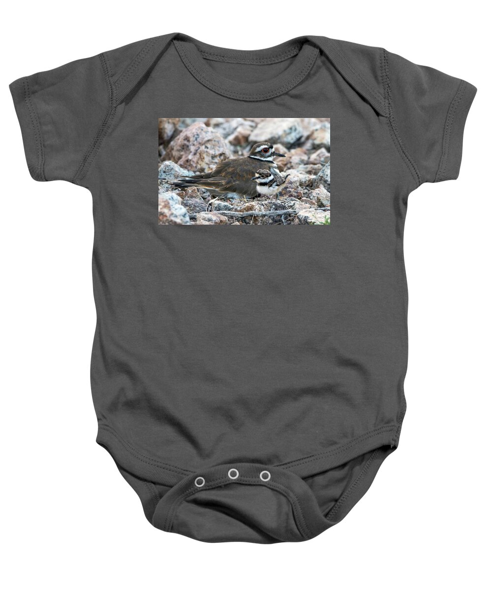 Kildeer Baby Onesie featuring the photograph Kildeer Adult and Chick 6019-041818-1cr by Tam Ryan