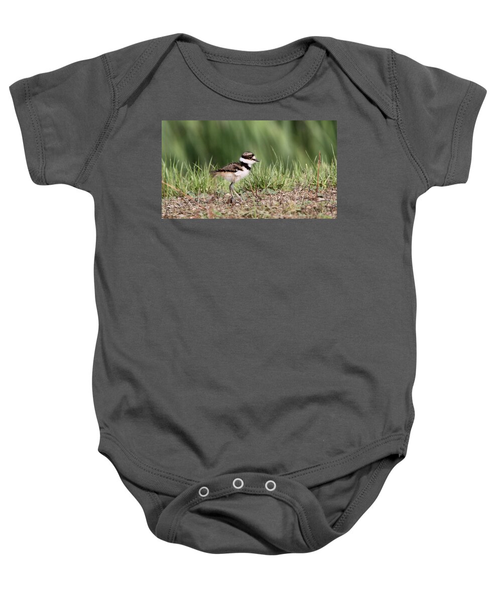 Nature Baby Onesie featuring the photograph Killdeer - 24 Hours Old by Travis Truelove