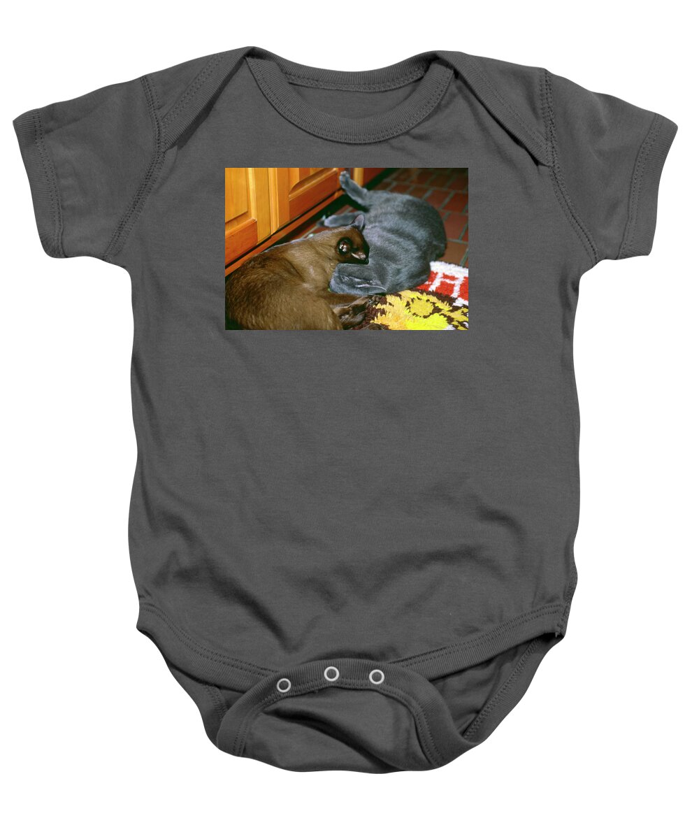 2 Cats Snuggling Baby Onesie featuring the photograph Kitties Snuggling by Sally Weigand