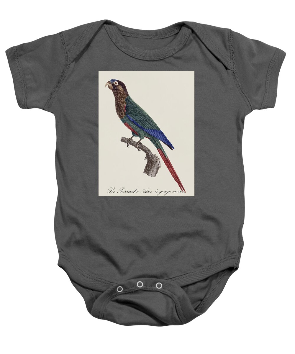 Perruche Baby Onesie featuring the painting La Perruche Ara, a gorge variee - Restored 19th century parakeet illustration by Jacques Barraband by SP JE Art