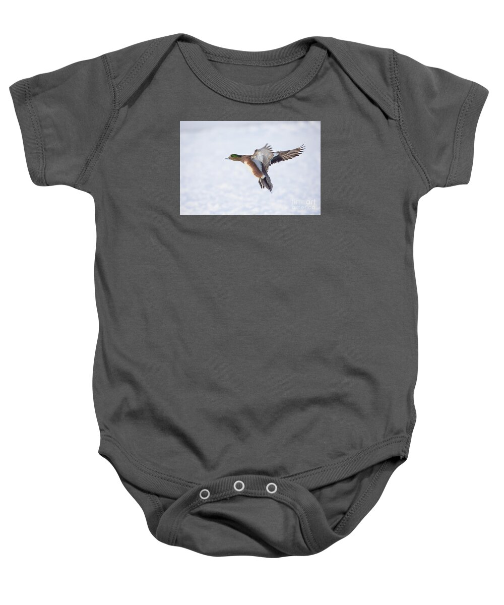 Duck Baby Onesie featuring the photograph Landing by Douglas Kikendall