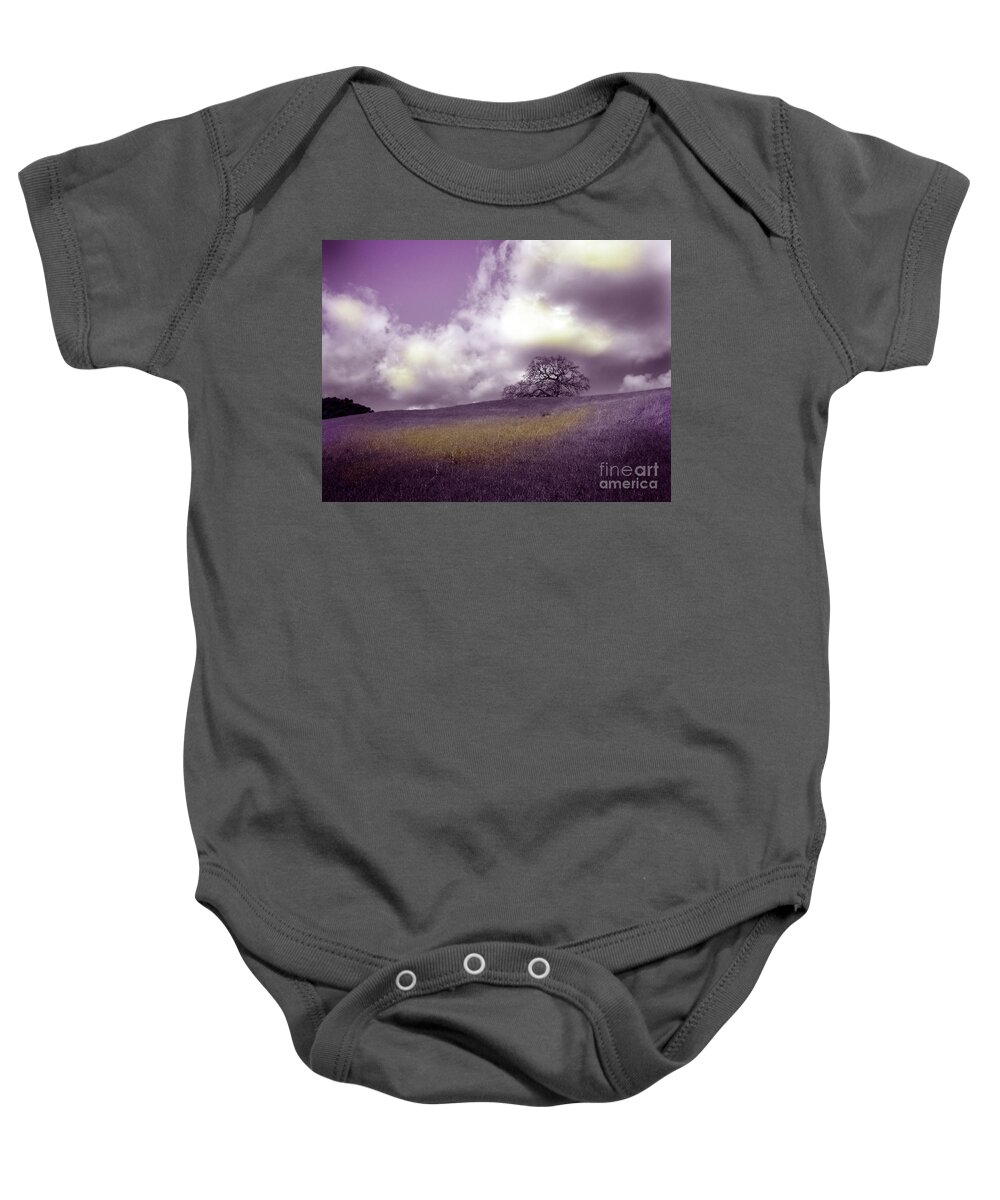 Arastradero Baby Onesie featuring the photograph Landscape in Purple and Gold by Laura Iverson