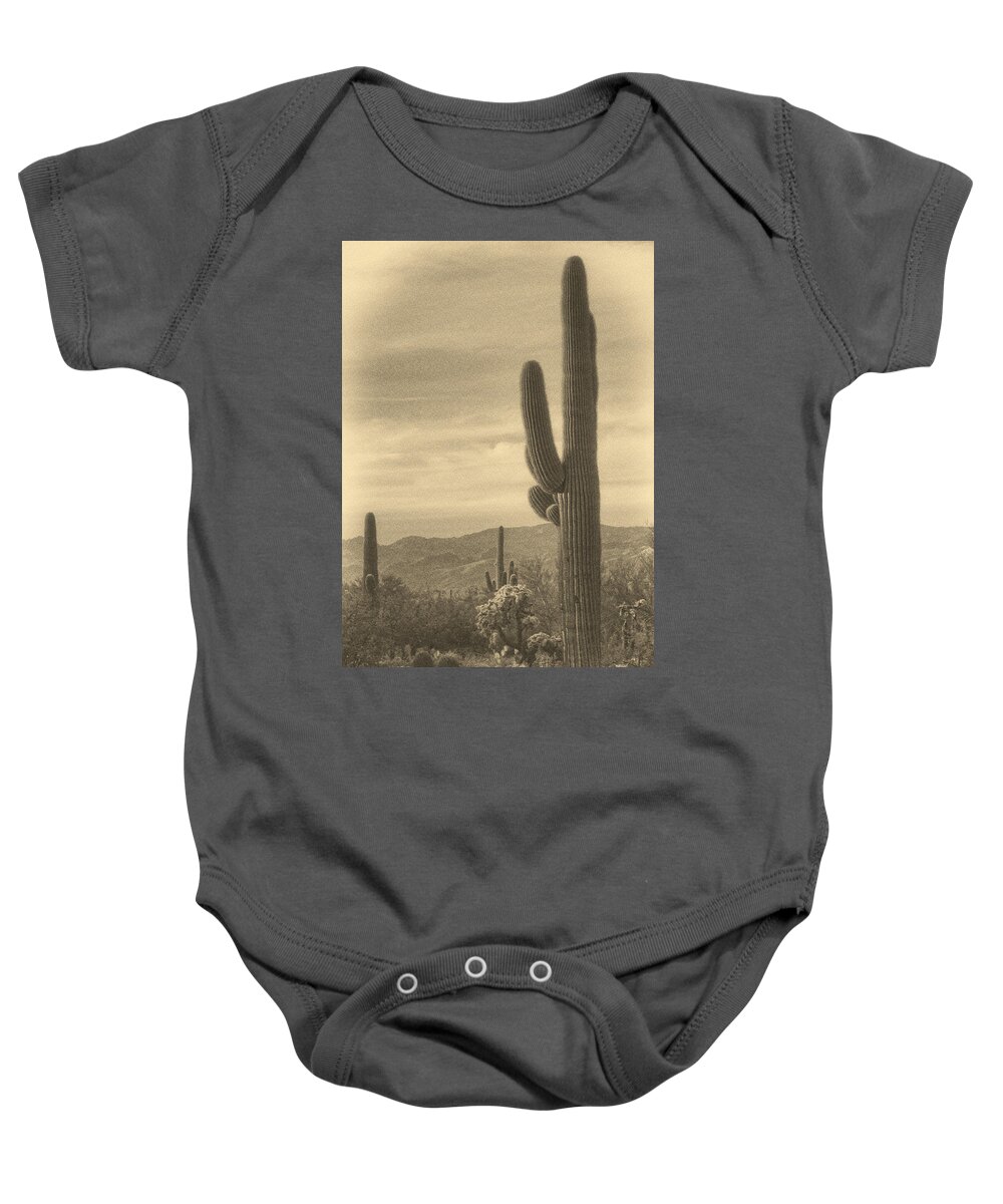 Saguaro Cacti Baby Onesie featuring the photograph Late Light on Saguaro ant by Theo O'Connor