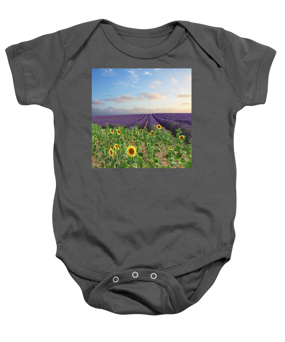 Lavender Baby Onesie featuring the photograph Lavender and Sunflower Flowers Field by Anastasy Yarmolovich