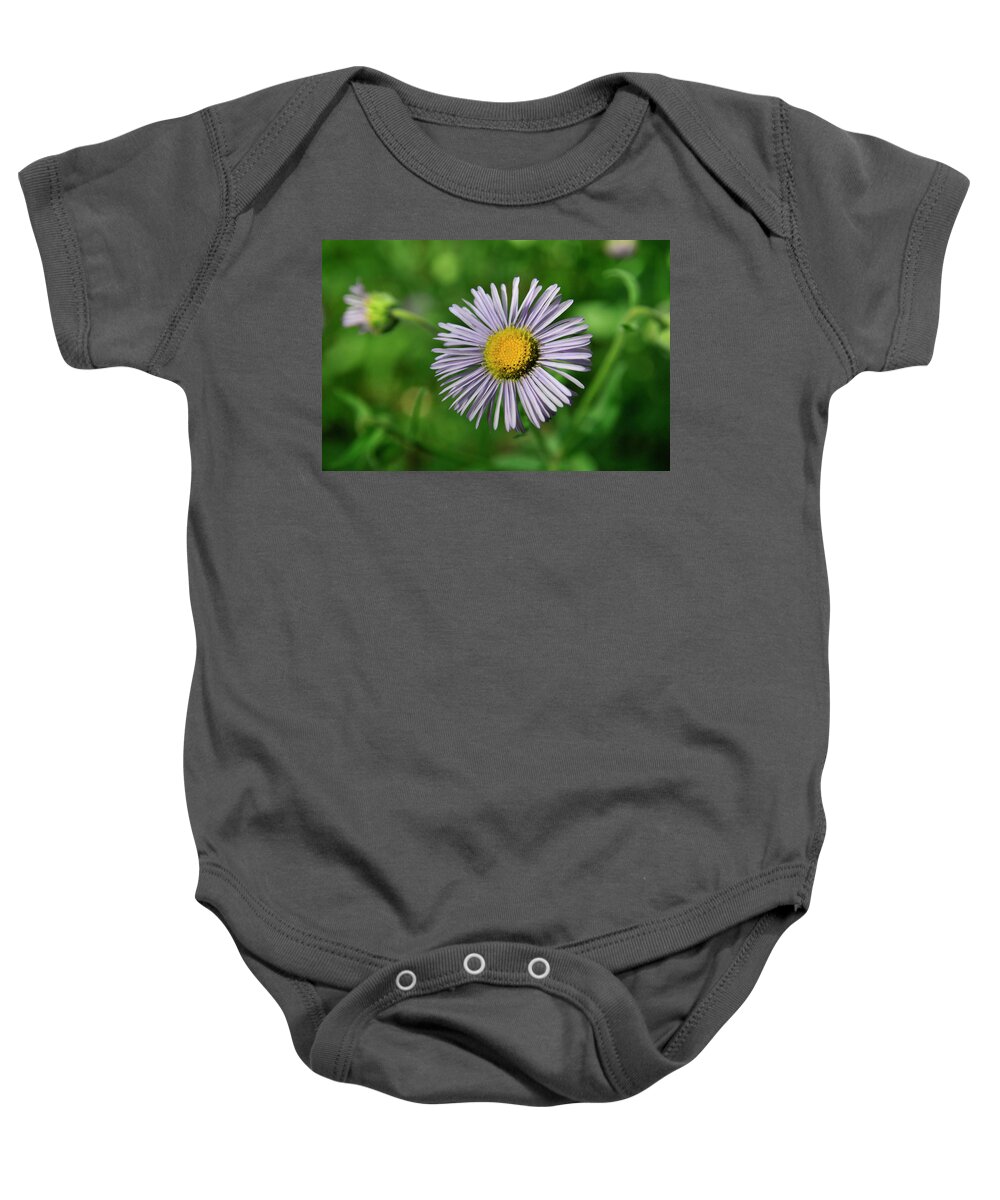 Flowers Baby Onesie featuring the photograph Lavender Serenity by Ron Cline