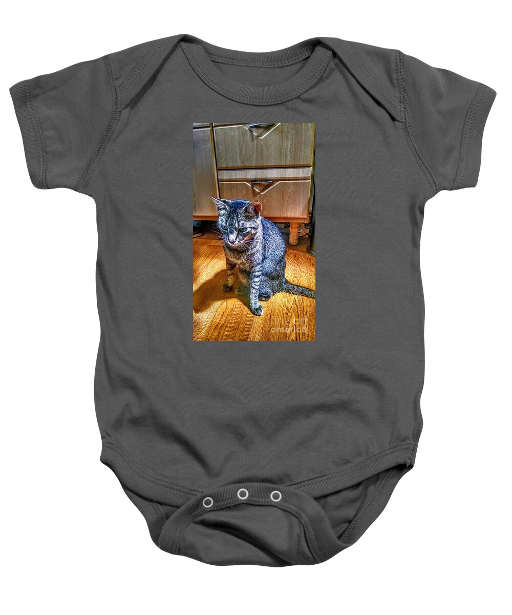Grey Baby Onesie featuring the photograph Le Chat Gris by Christopher Lotito
