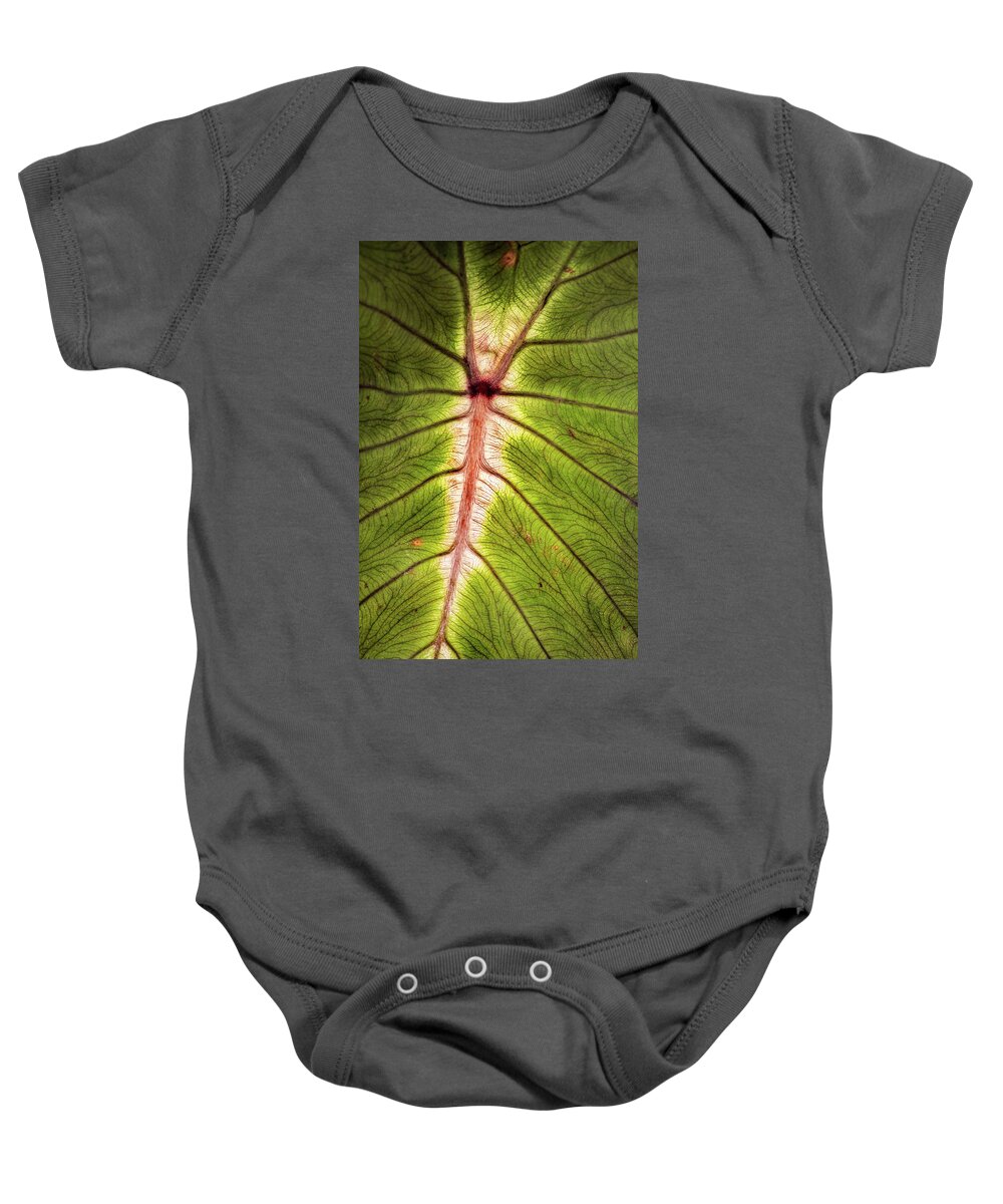 Leaf Baby Onesie featuring the photograph Leaf with Veins by Don Johnson