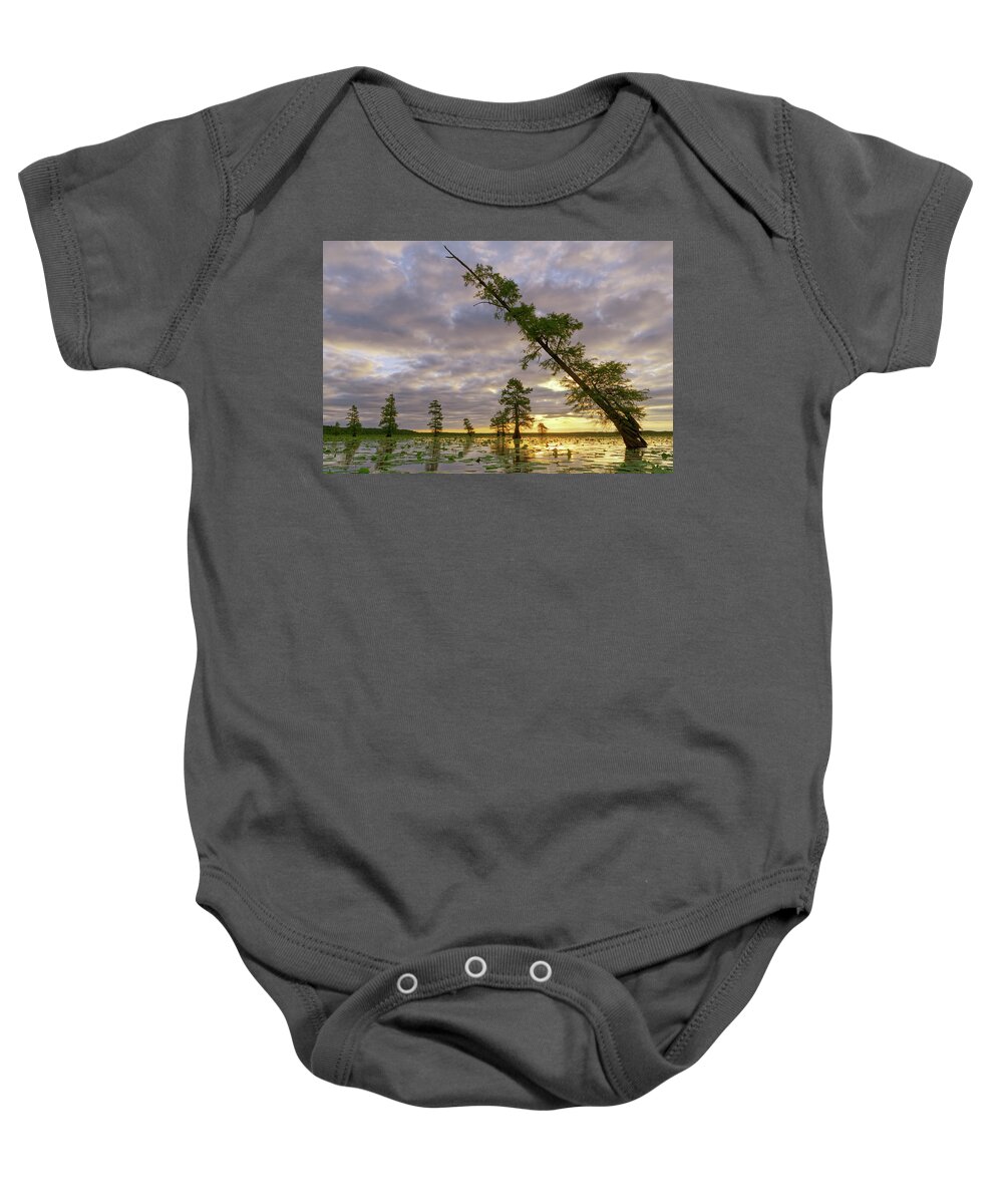 2016 Baby Onesie featuring the photograph Leaning Cypress by Robert Charity