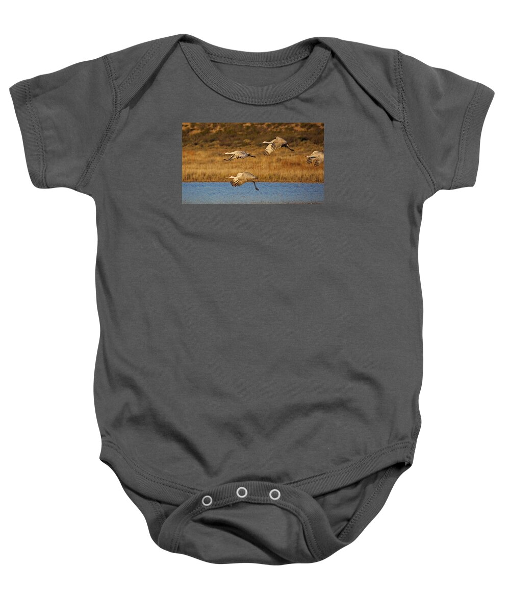 Sandhill Baby Onesie featuring the photograph Let's Go by Jean Clark