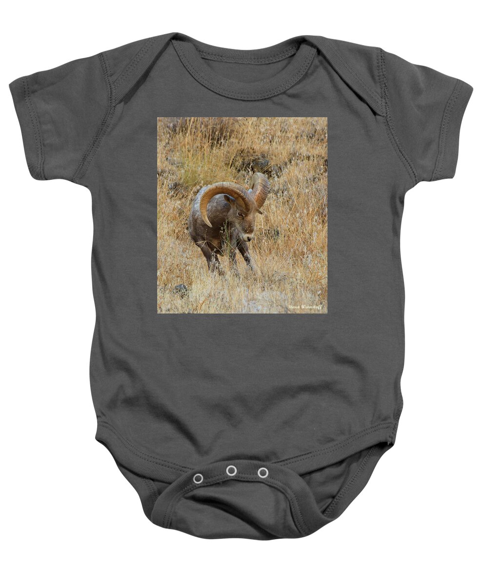 Oregon Baby Onesie featuring the photograph Let's Go by Steve Warnstaff
