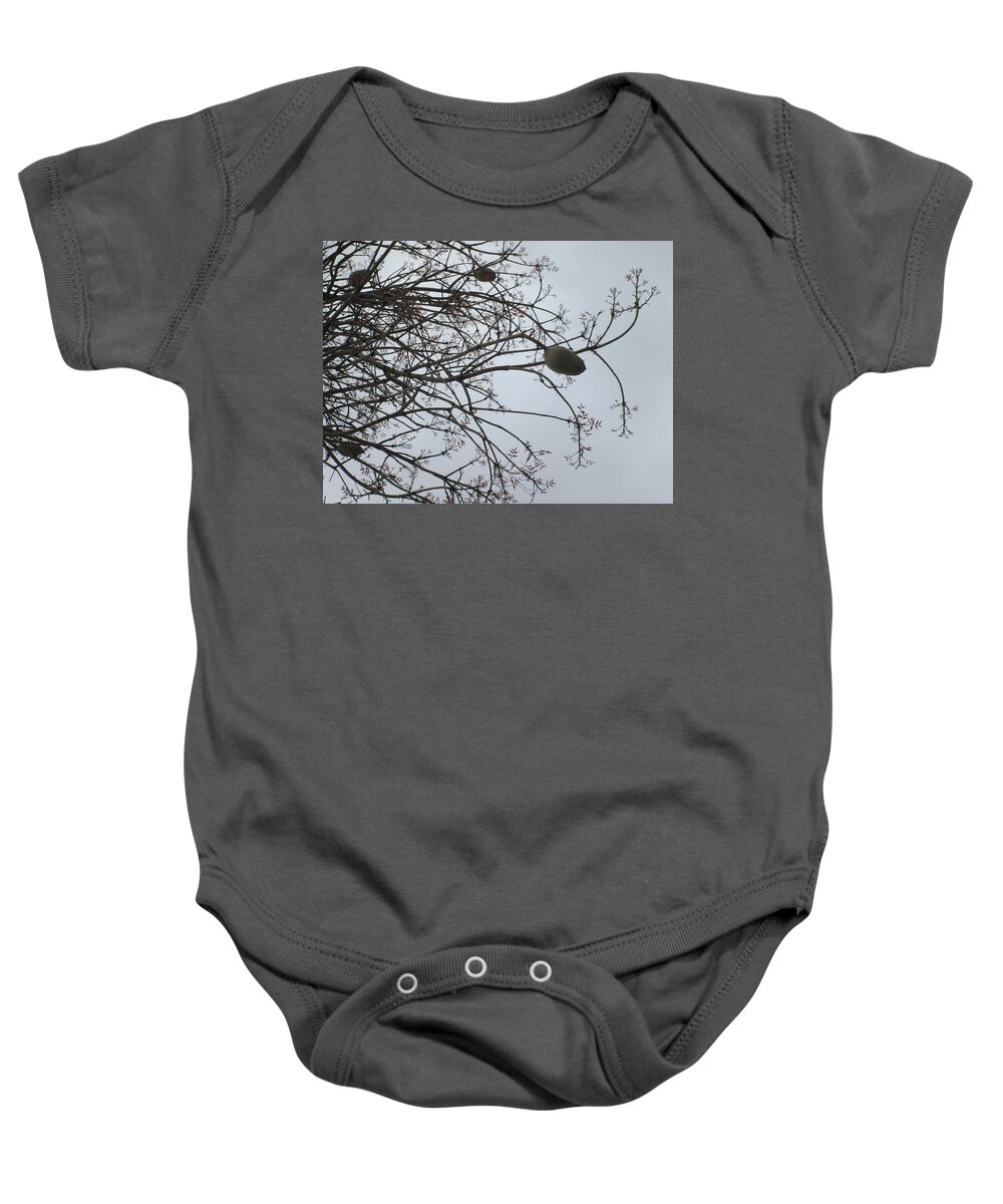 Digital Art Baby Onesie featuring the photograph Life 2 by Carlos Paredes Grogan