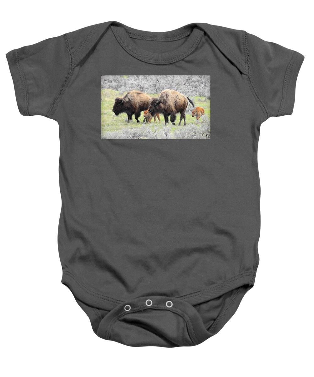 Buffalo Baby Onesie featuring the photograph Life out West by Steve McKinzie