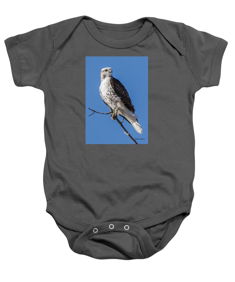 Red-tailed Hawk Baby Onesie featuring the photograph Light Morph Red-tailed Hawk by Stephen Johnson