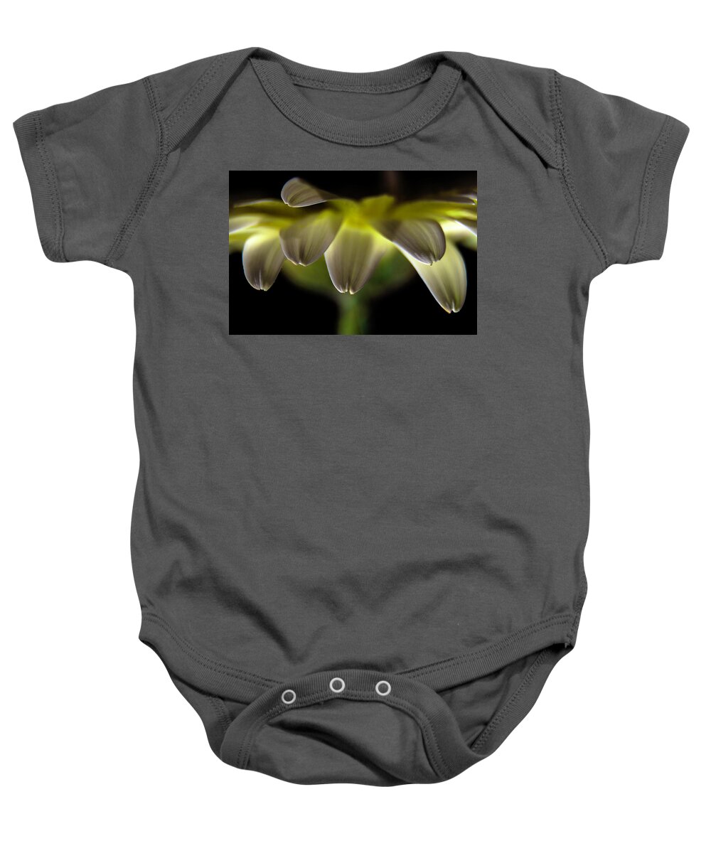 Flower Baby Onesie featuring the photograph Lighting up the petals by Wolfgang Stocker