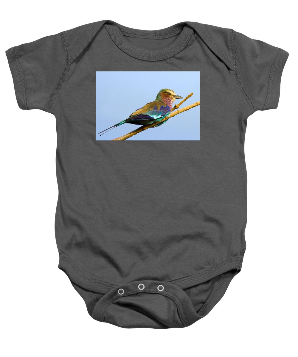 Lilac-breasted Roller Baby Onesie featuring the photograph Lilac-breasted Roller by Aivar Mikko