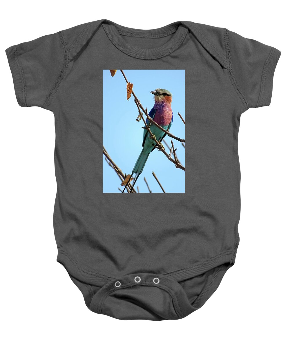 Lilac Breasted Roller Baby Onesie featuring the photograph Lilac Breasted Roller by Jennifer Wheatley Wolf