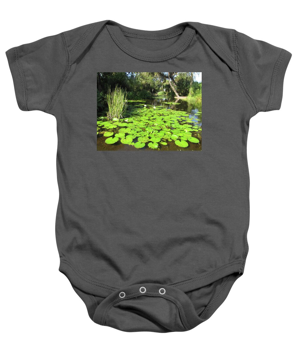 Lily Baby Onesie featuring the photograph Lilies of Bok Gardens by David Bader