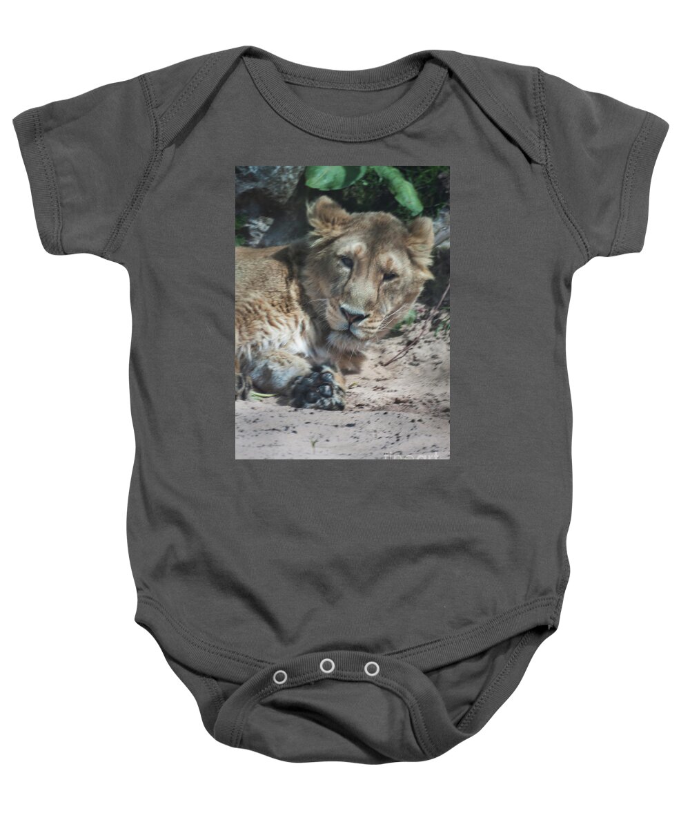 Lion Baby Onesie featuring the photograph Lion by Doc Braham