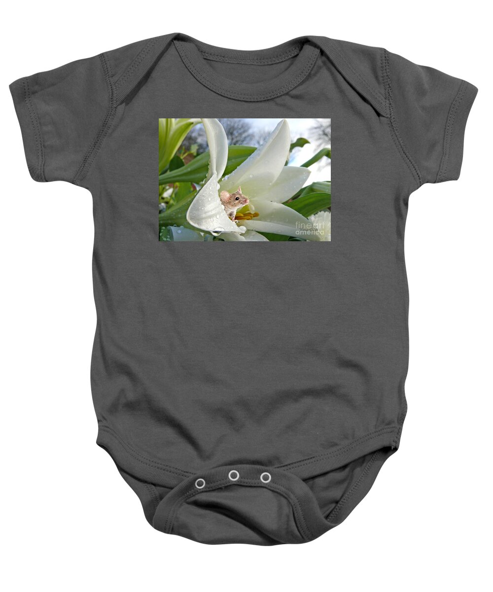 Field Mouse Baby Onesie featuring the pyrography Little Field Mouse by Morag Bates