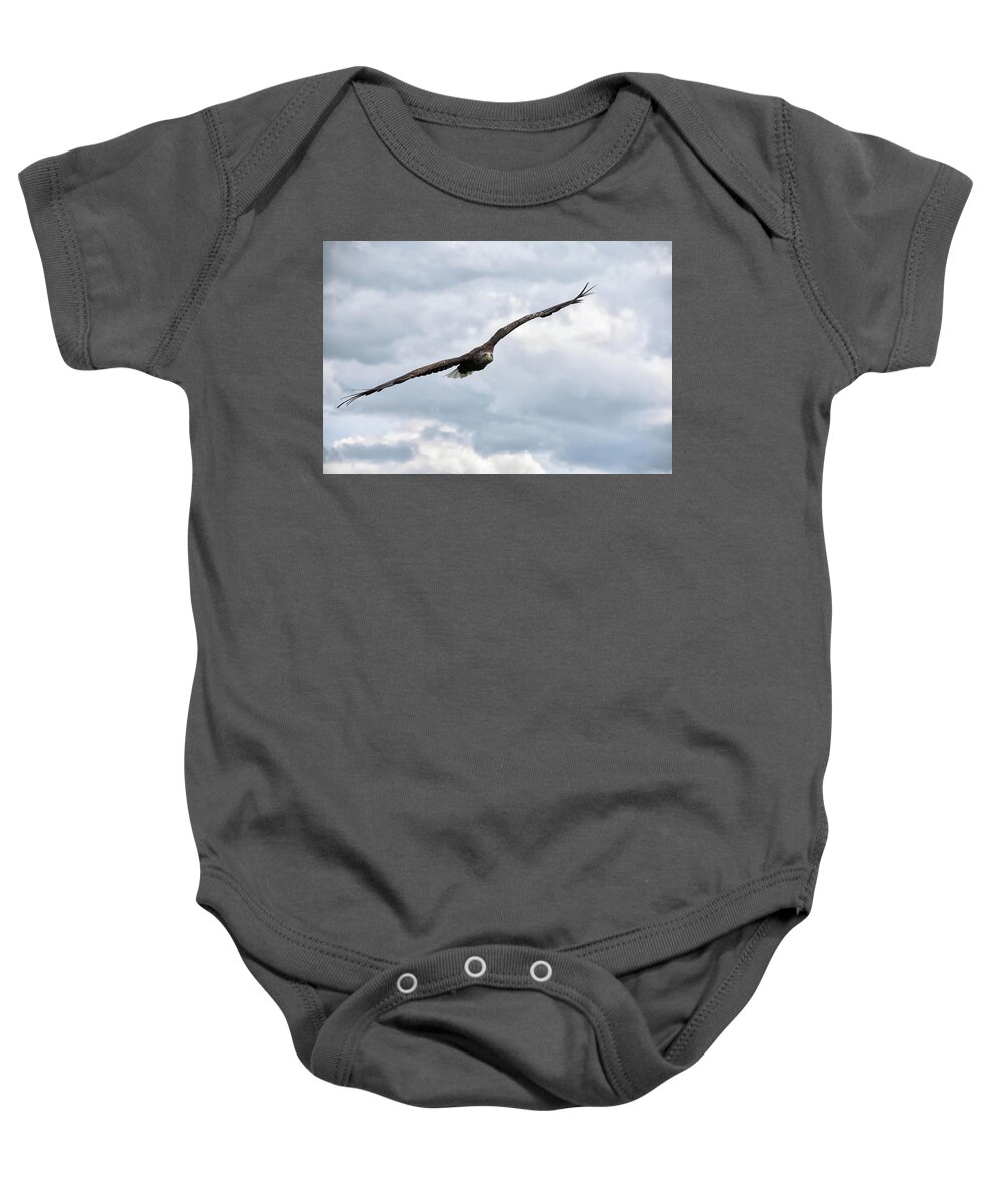 Eagle Baby Onesie featuring the photograph Locked On by Kuni Photography