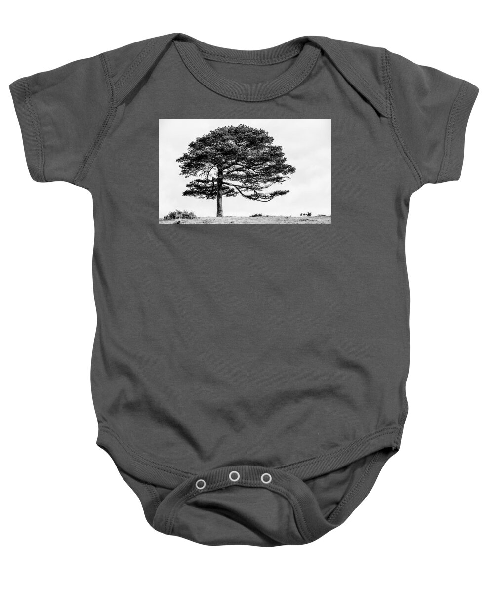 Tree Baby Onesie featuring the photograph Lone Tree by Helen Jackson
