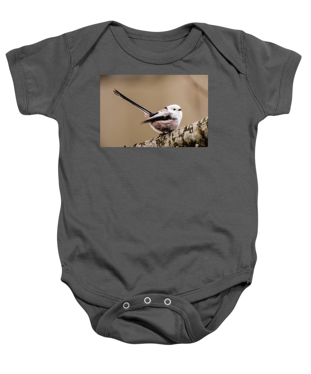 Long-tailed Tit Baby Onesie featuring the photograph Long-tailed tit wag the tail by Torbjorn Swenelius