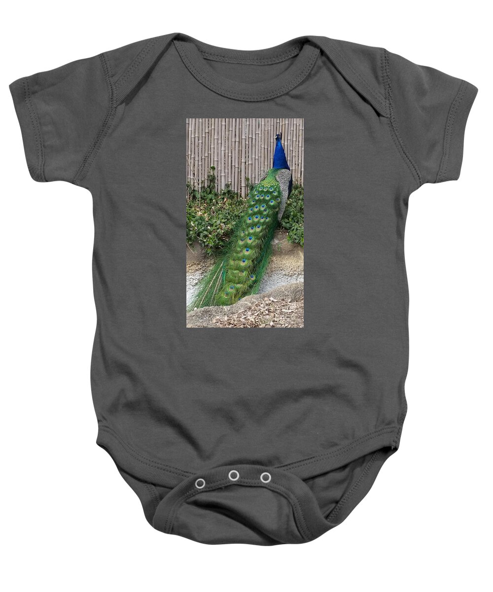 Feather Baby Onesie featuring the photograph Look Away by Caryl J Bohn