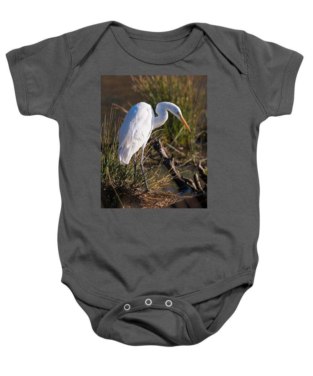 Great White Egret Hunt Hunting Looking For Lunch Day Sun Sunny Sunshine Fall Autumn Vertical Wildlife Bird Birds Refuge Nature Baby Onesie featuring the photograph Looking For Lunch by Patrick Campbell
