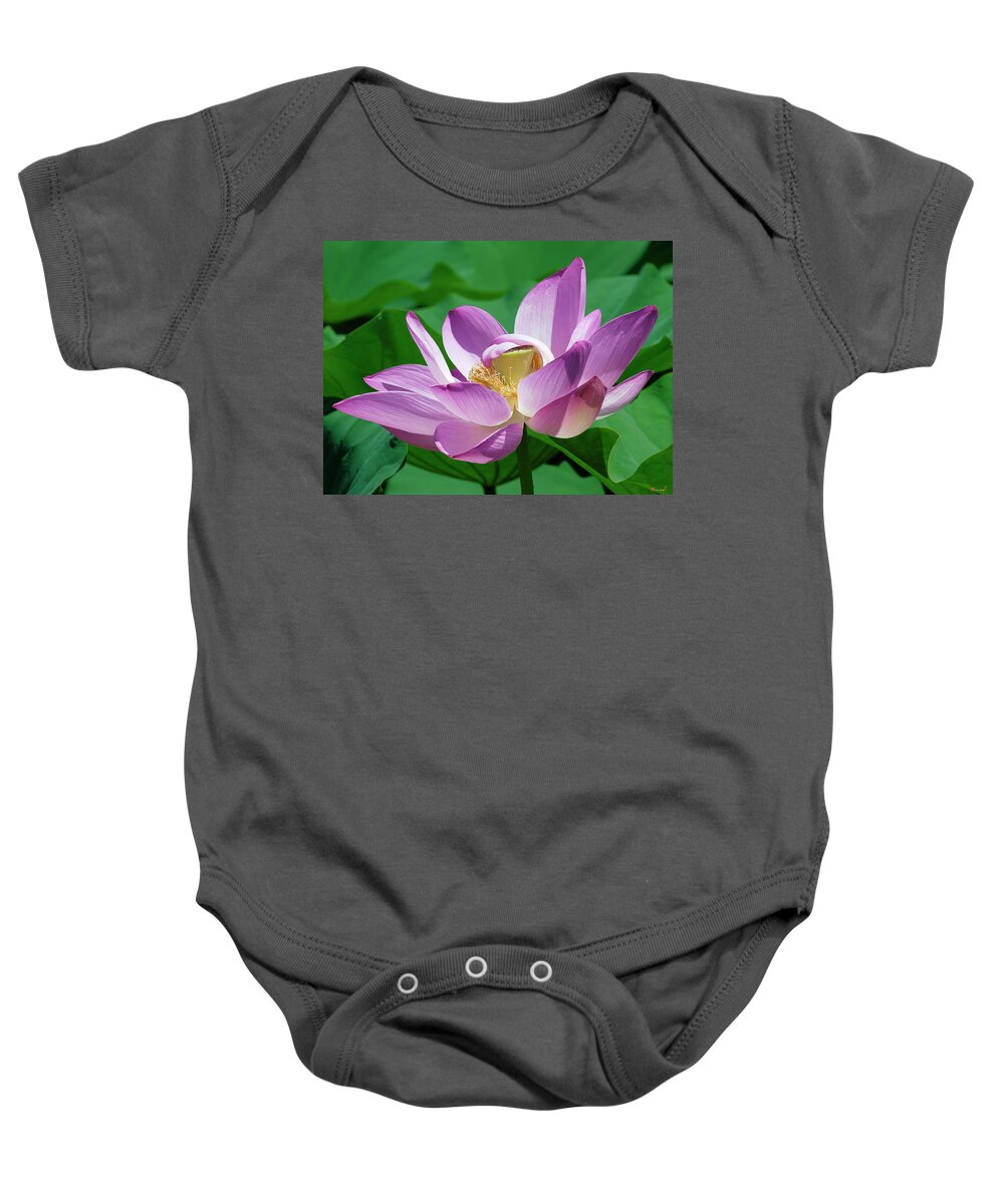 Lotus Baby Onesie featuring the photograph Lotus--Center of Being--Protective Covering ii DL0088 by Gerry Gantt