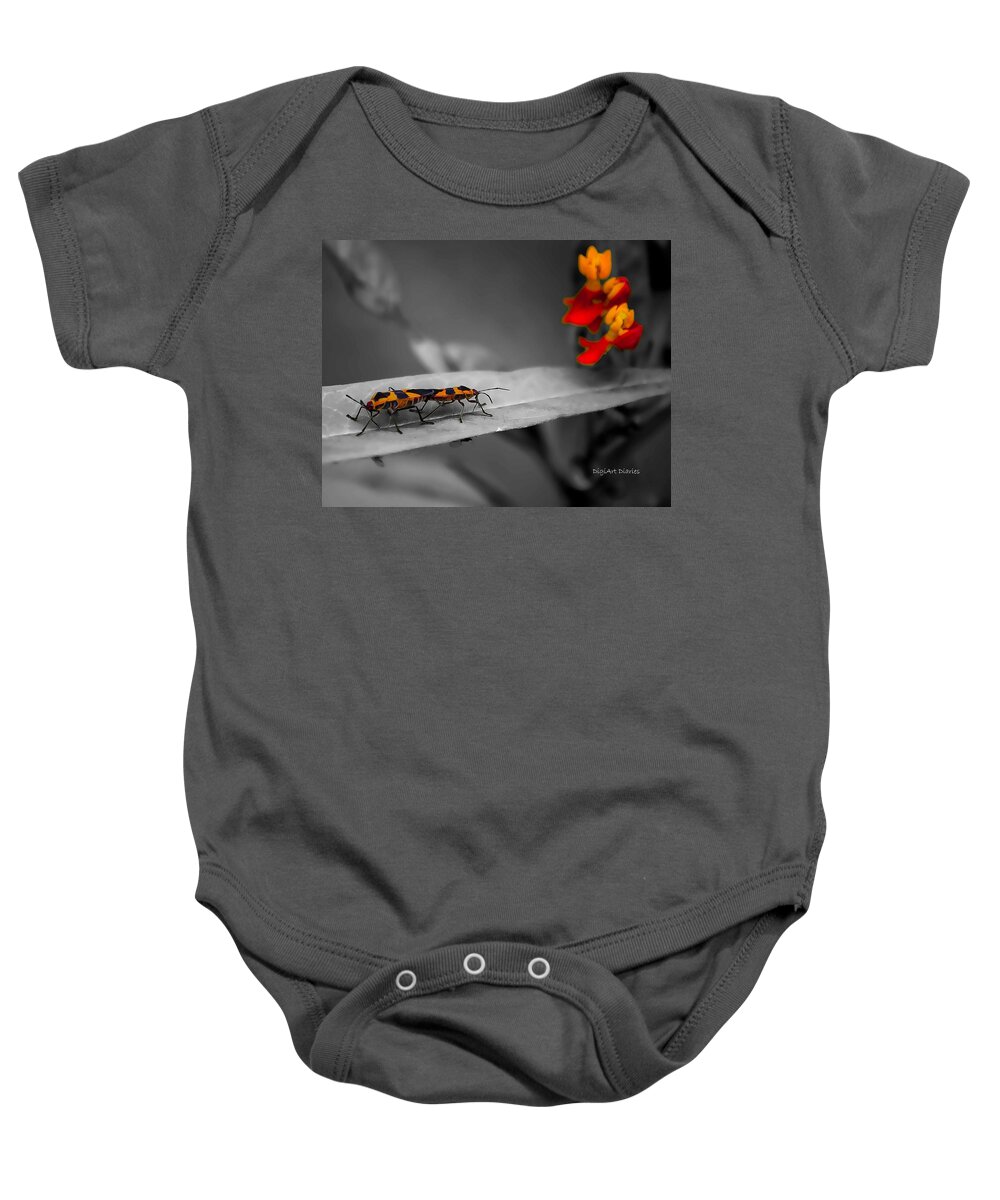 Milkweed Bug Baby Onesie featuring the photograph Love in the Afternoon by DigiArt Diaries by Vicky B Fuller