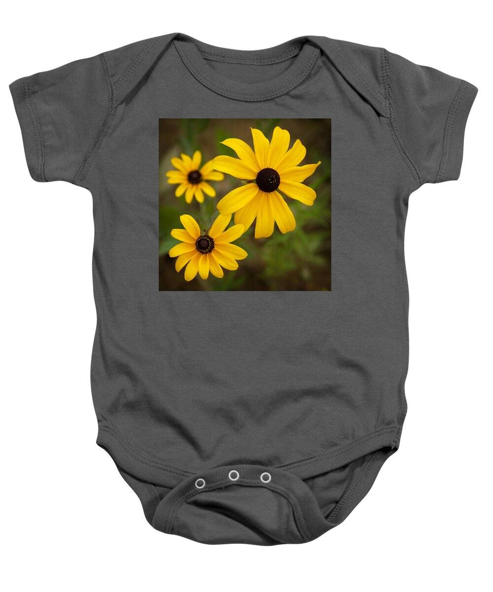 Flowers Baby Onesie featuring the photograph Lovely Black Eyed Susans by Dorothy Lee