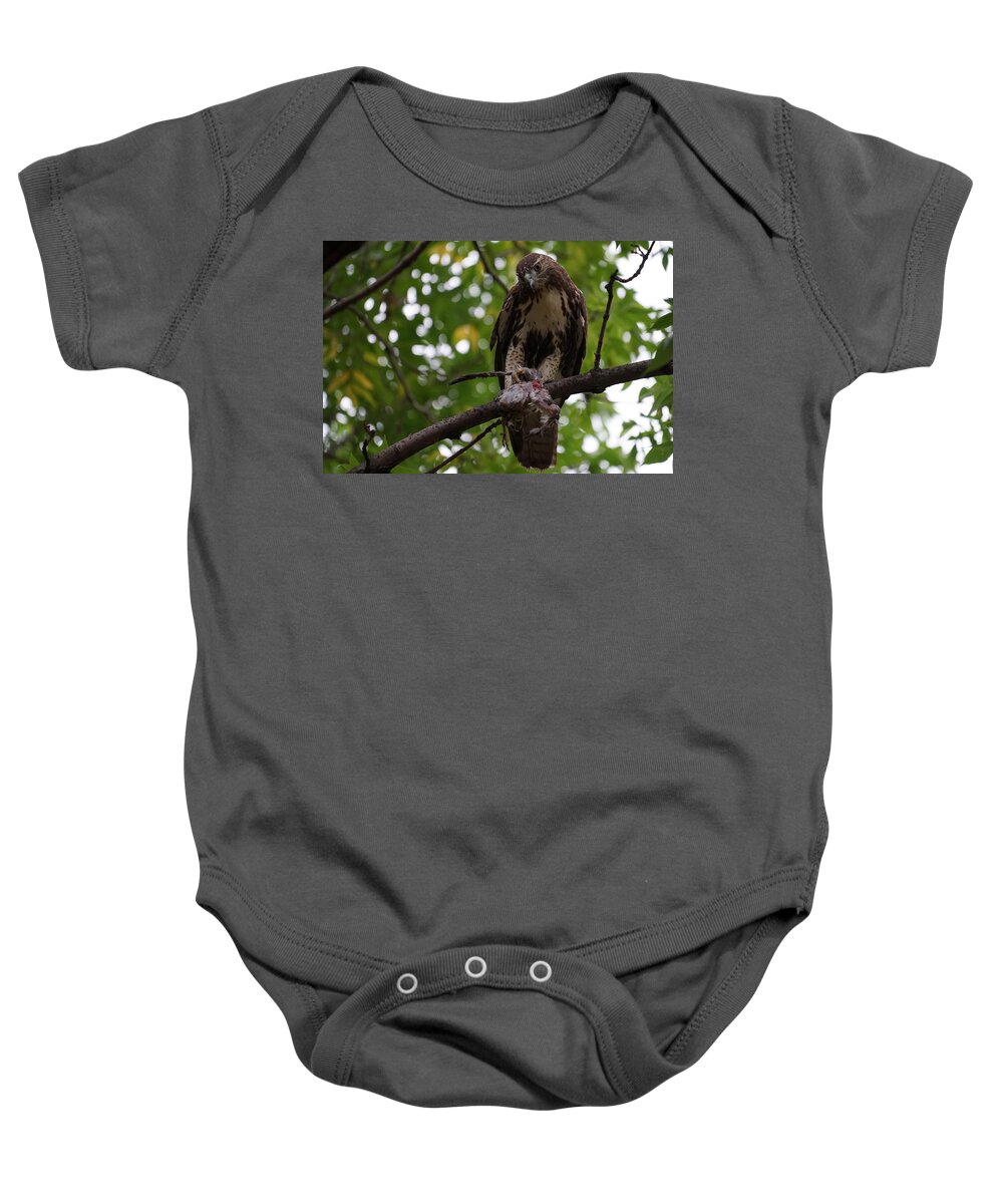Red Tailed Hawk Baby Onesie featuring the photograph Lunch with a View by Brooke Bowdren