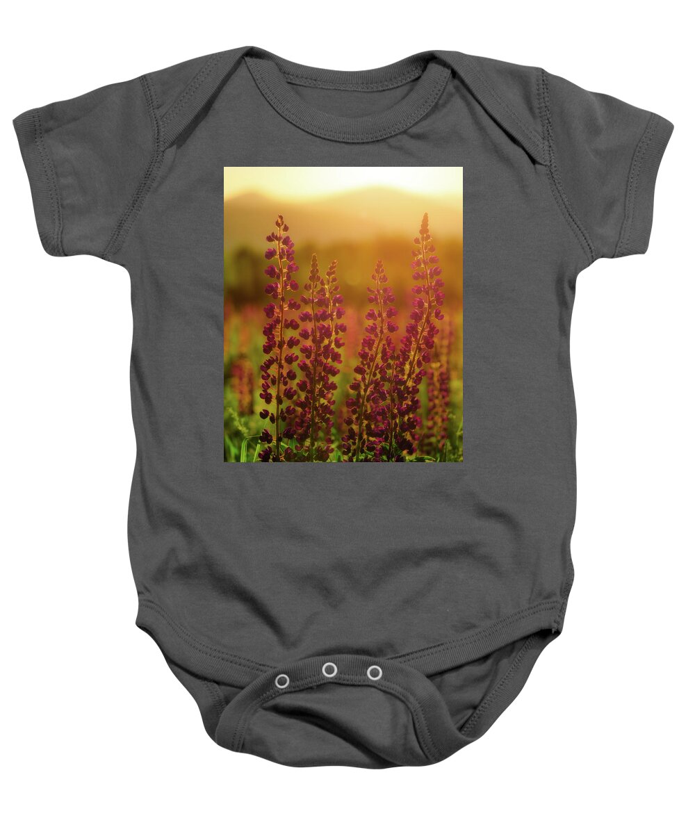 New Hampshire Baby Onesie featuring the photograph Lupines at Dawn by Rob Davies
